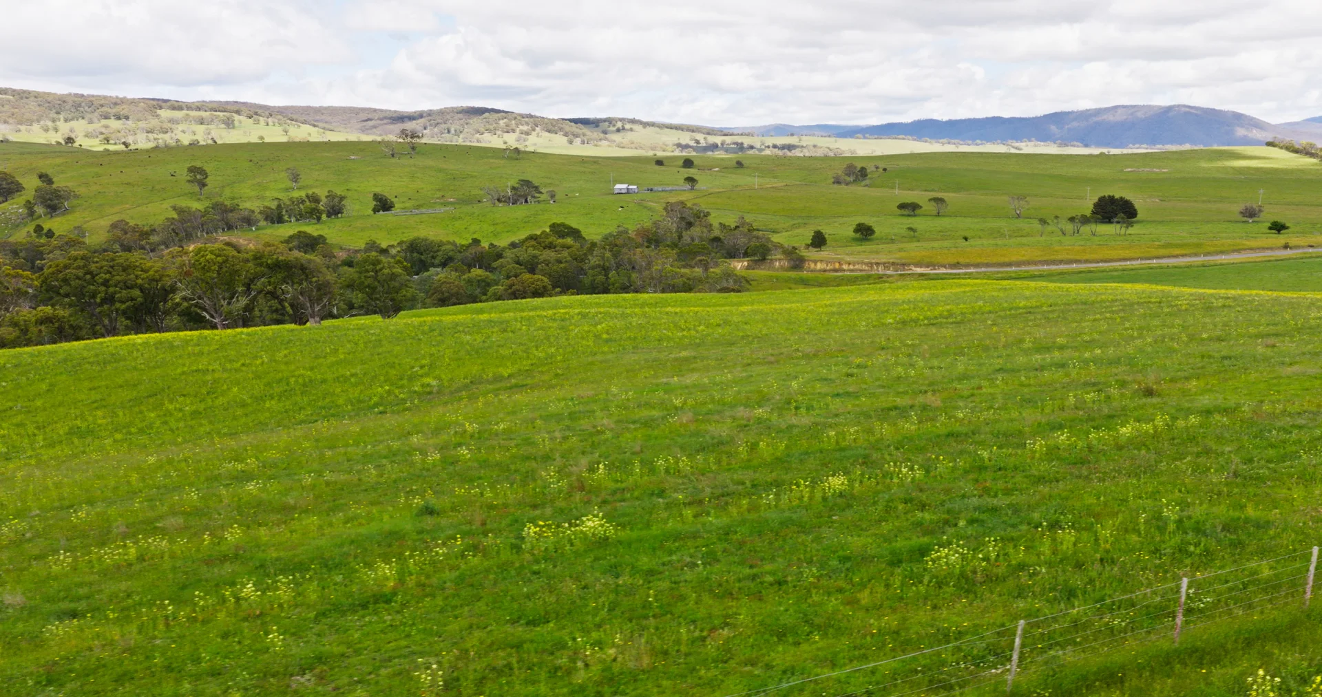 Additional image 13 of Lot 2 - 289 Tongio Gap Road, Tongio VIC 3896