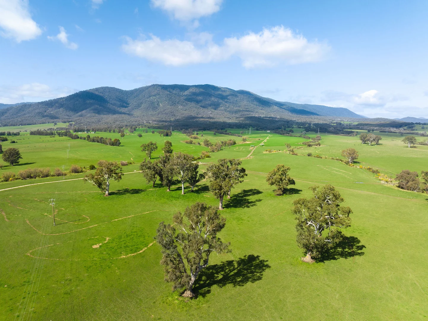 Additional image 23 of 1036 Taggerty - Thornton Road, Thornton VIC 3712