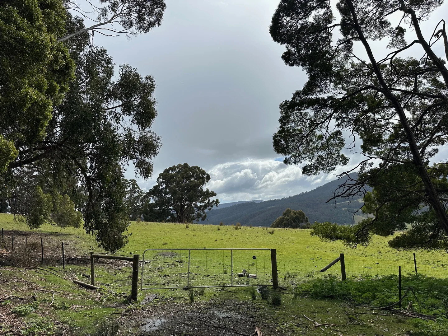 Additional image 5 of 1 Sunny Hills Road, Glen Huon TAS 7109