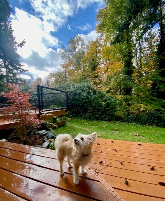 Additional image 6 of 10987 Collings Place, Delta, BC, V4C 7E7