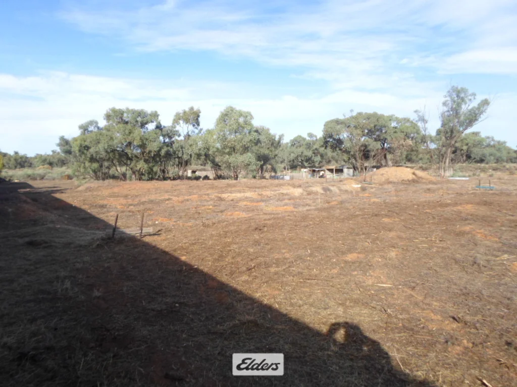 Additional image 3 of 42 Nixon Street, Euston NSW 2737