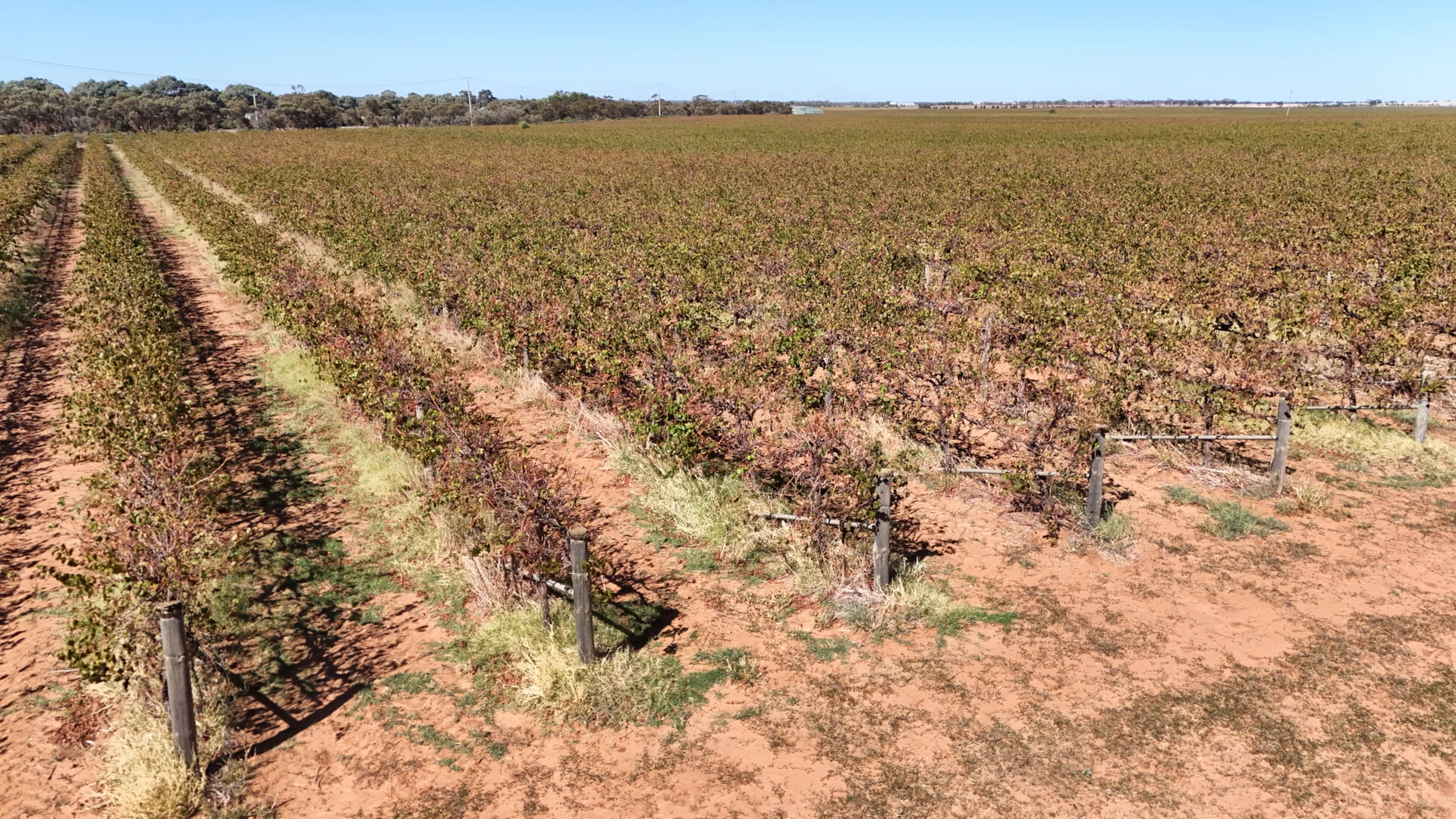 Additional image 32 of 595 Woorinen Road, Swan Hill VIC 3585