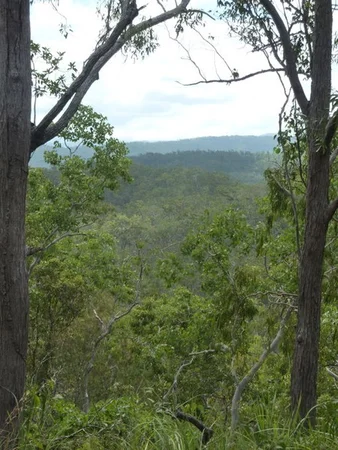 Additional image 2 of Lot 123 Two Chain Road, Koah QLD 4881