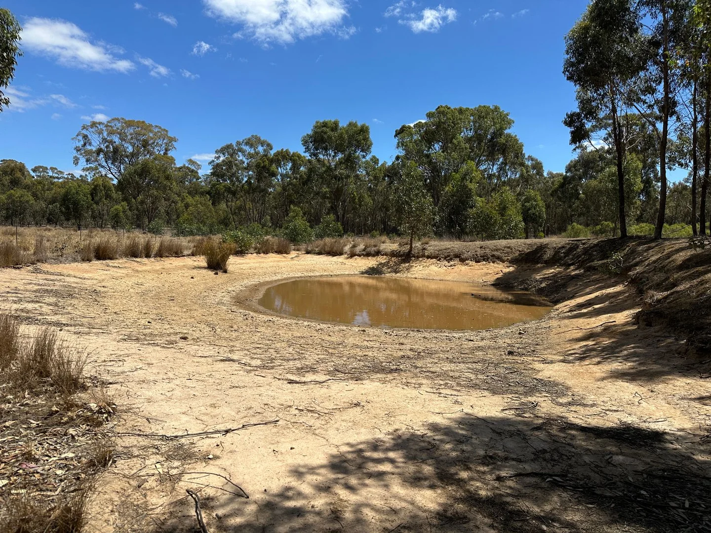 Additional image 7 of 206 Williams Road, Carisbrook VIC 3464