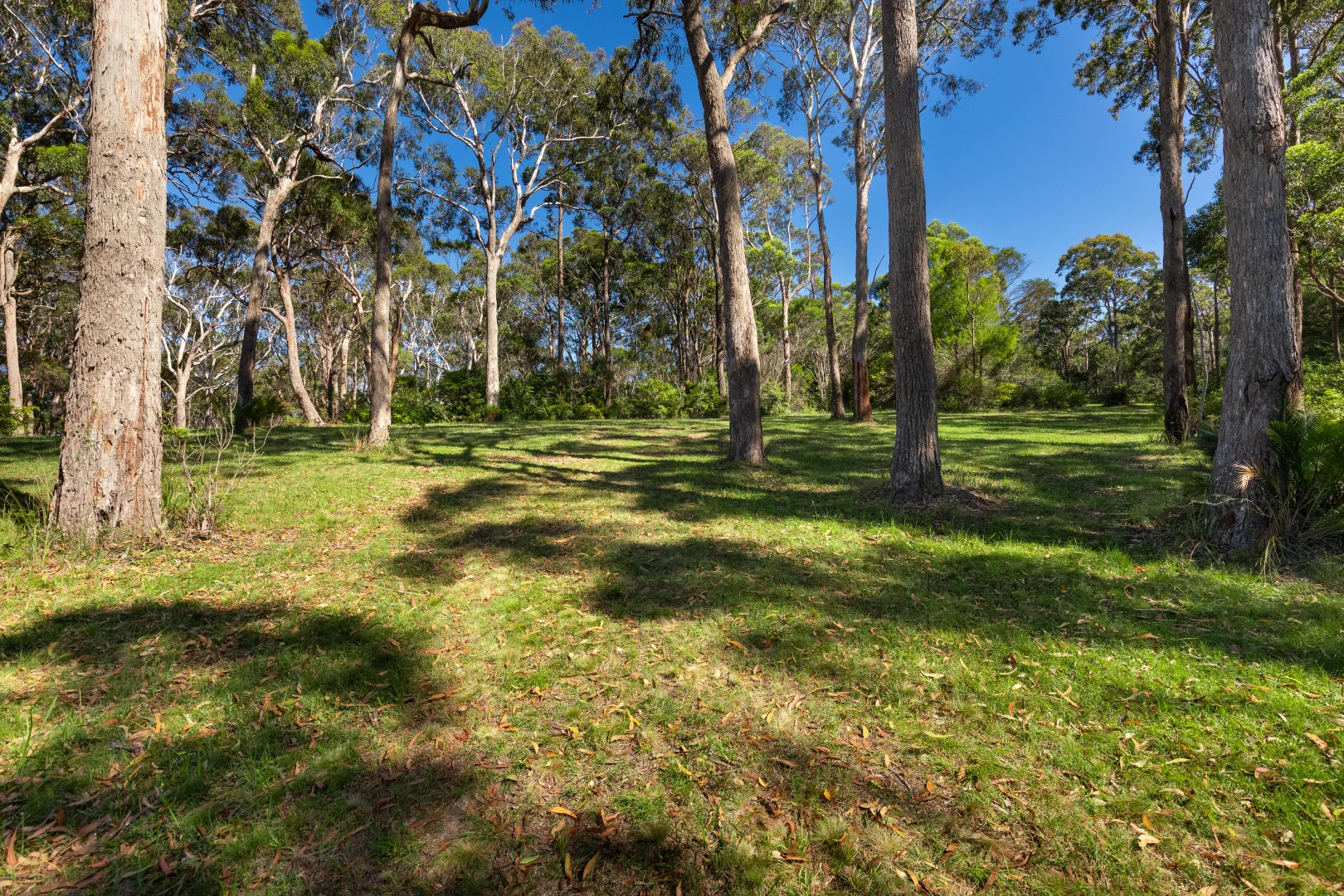 Additional image 7 of 1/4091 Tathra-Bermagui Road, Bermagui NSW 2546