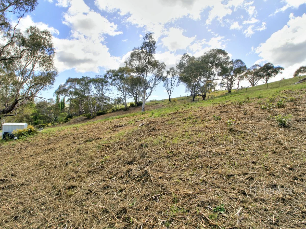 Additional image 8 of 90 Old Omeo Highway, Omeo VIC 3898