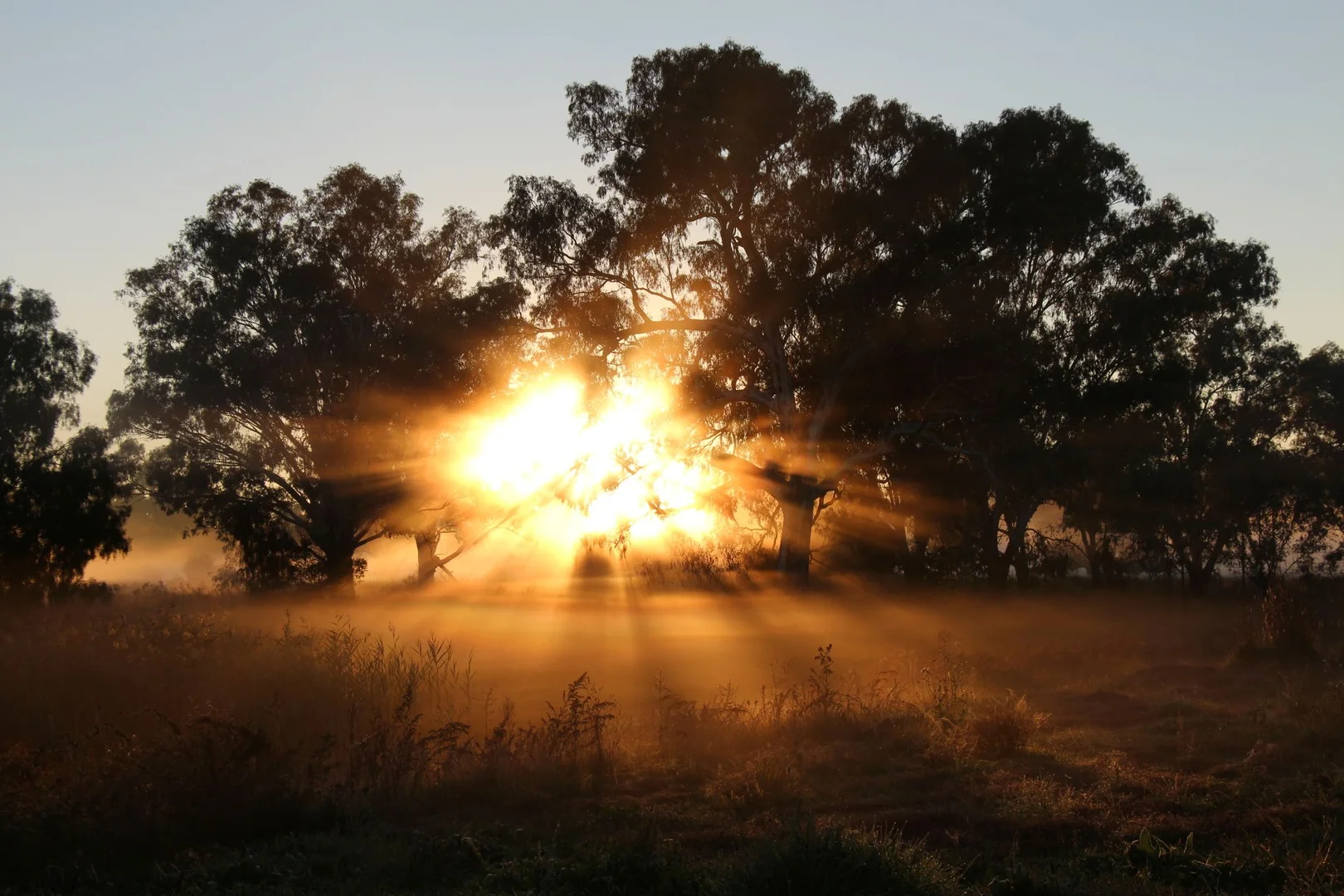 Additional image 18 of Girragirra Retreat , Warrul Road, Forbes NSW 2871