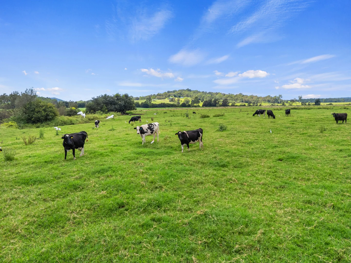 Additional image 7 of 182 Dagun Pocket Road, Amamoor QLD 4570