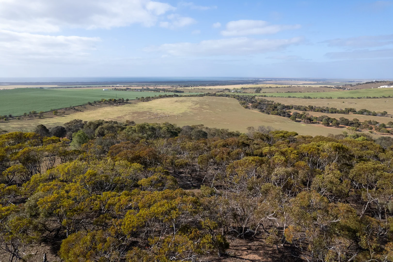 Additional image 17 of Lots 99 & Bawdens Road, Lipson SA 5607