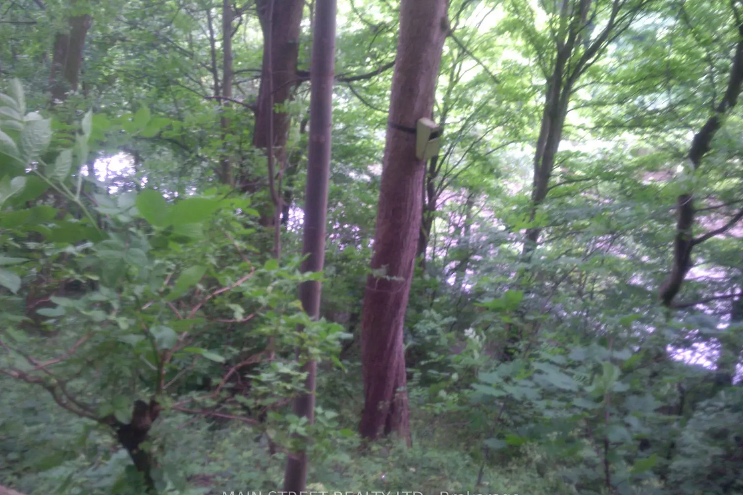 Additional image 3 of 000 Blanchards Road