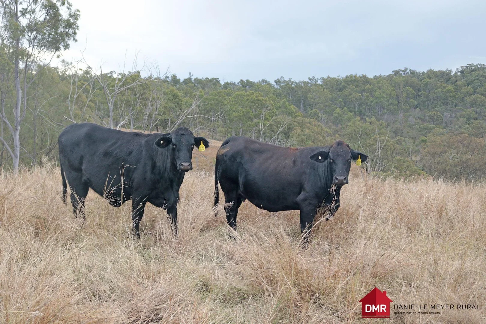 Lot 33-35 Bilboolan Road, Eidsvold QLD 4627