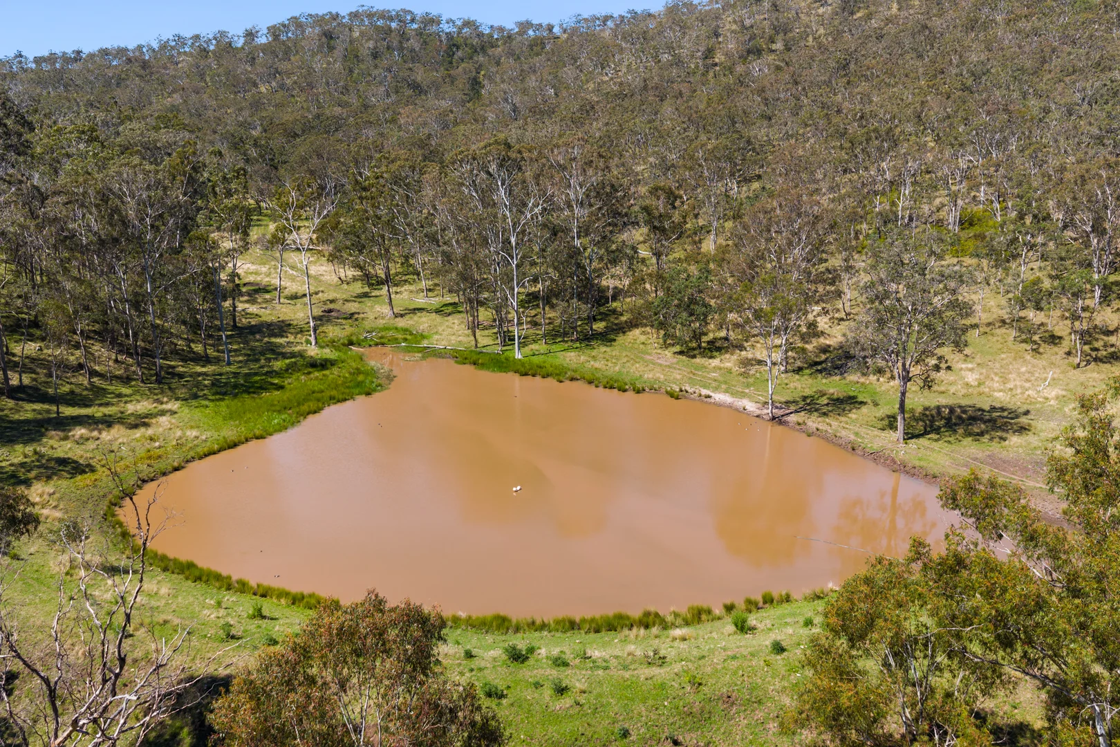 Additional image 10 of 'Yabragunyah' Pilton Valley Road, Upper Pilton QLD 4361