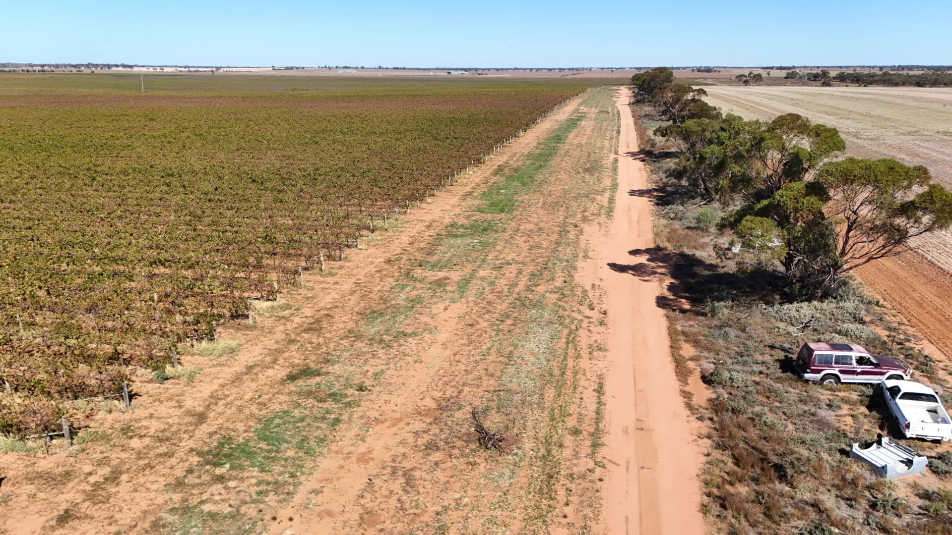 Additional image 27 of 595 Woorinen Road, Swan Hill VIC 3585