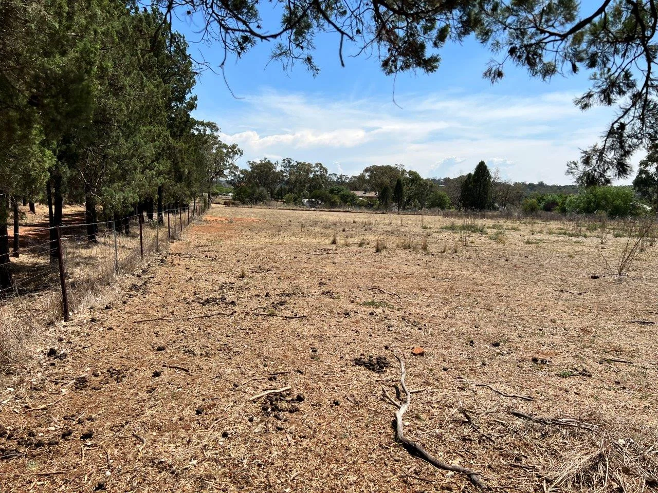 Additional image 3 of 46 Payne Street, Geurie NSW 2818