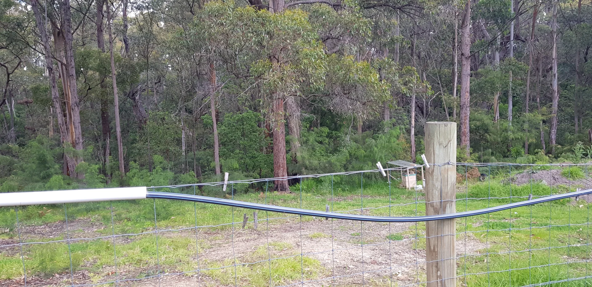 Additional image 6 of 99 Mirrabooka Road, Mallacoota VIC 3892