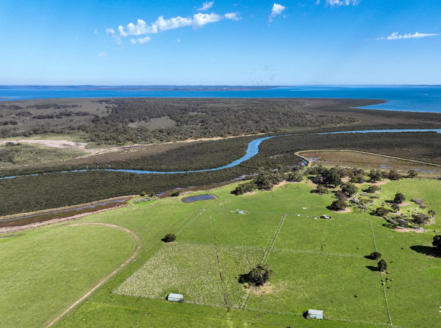 Additional image 4 of 111 CRAIGS LANE, Pearcedale VIC 3912