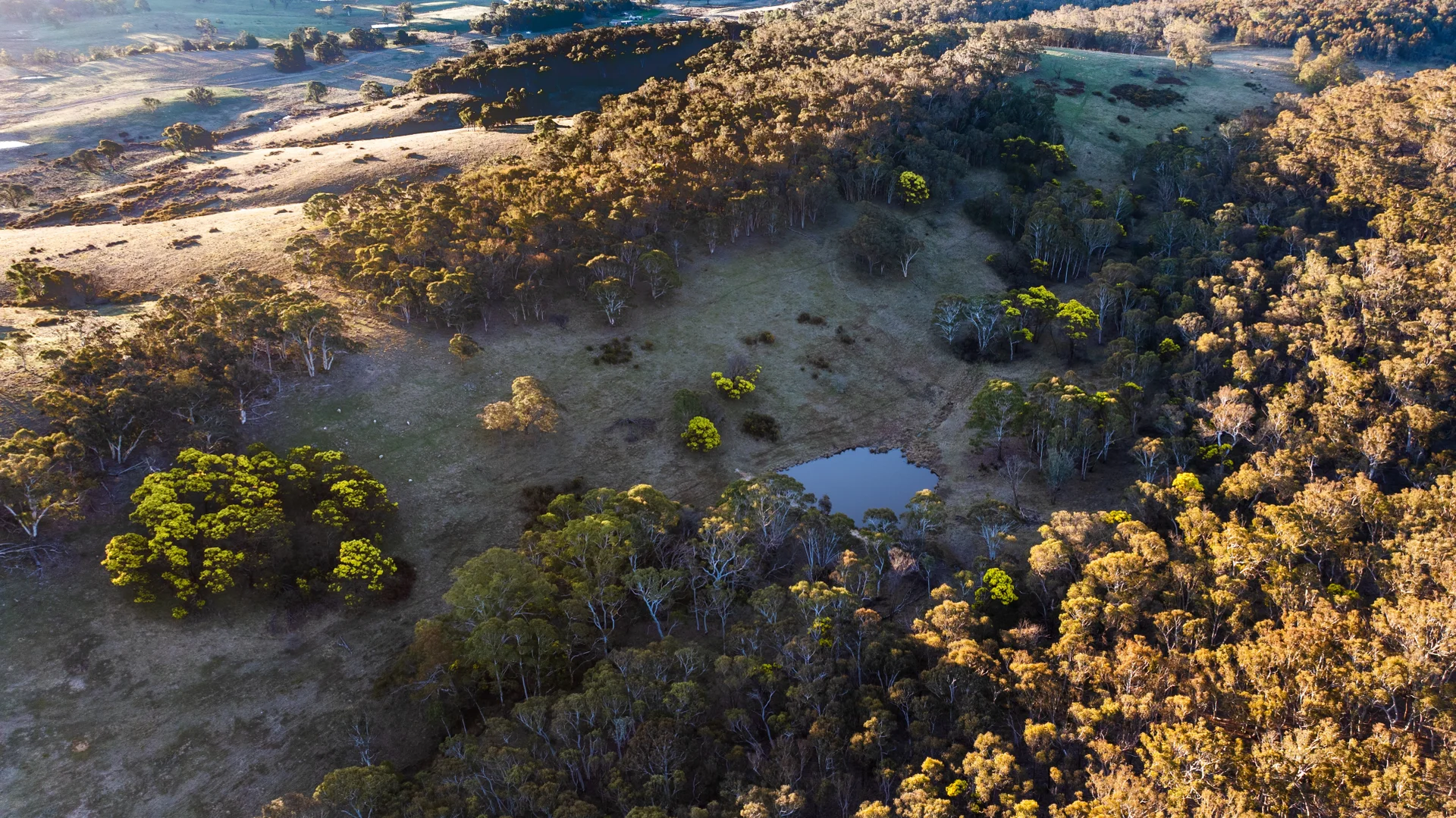 Additional image 31 of 785 Thornford Road, Goulburn NSW 2580