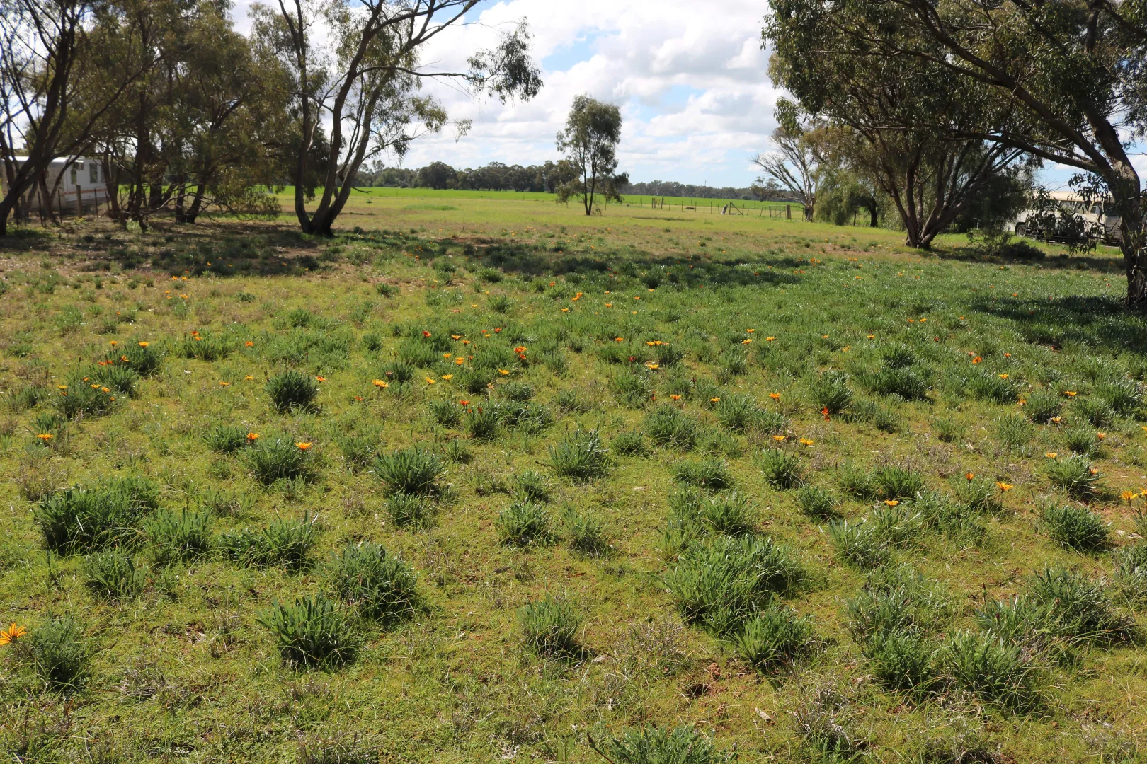 Additional image 2 of 21 Gunyah Flat Road, Charlton VIC 3525