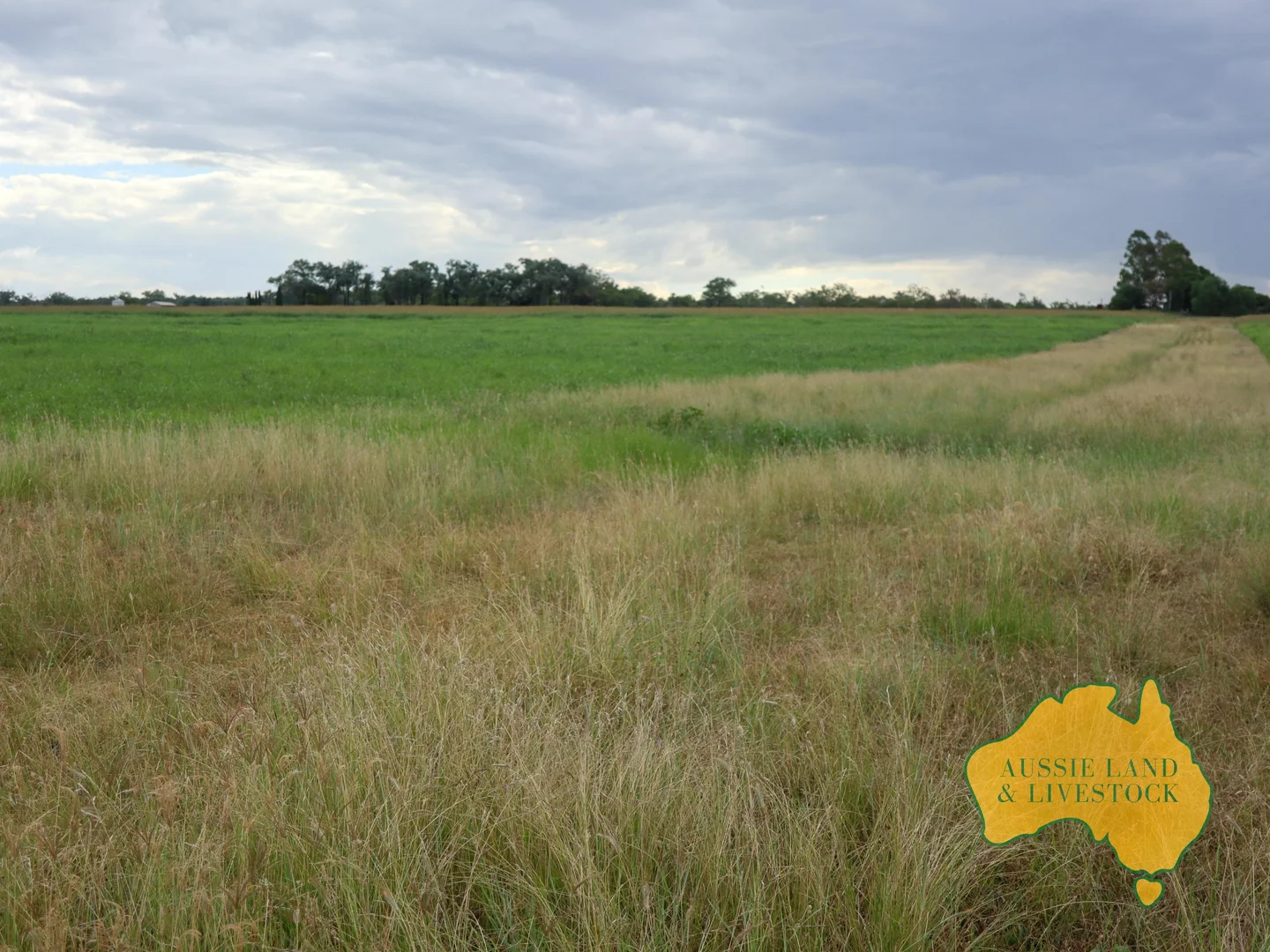 Additional image 76 of 629 Stuart Valley Drive, Haly Creek QLD 4610