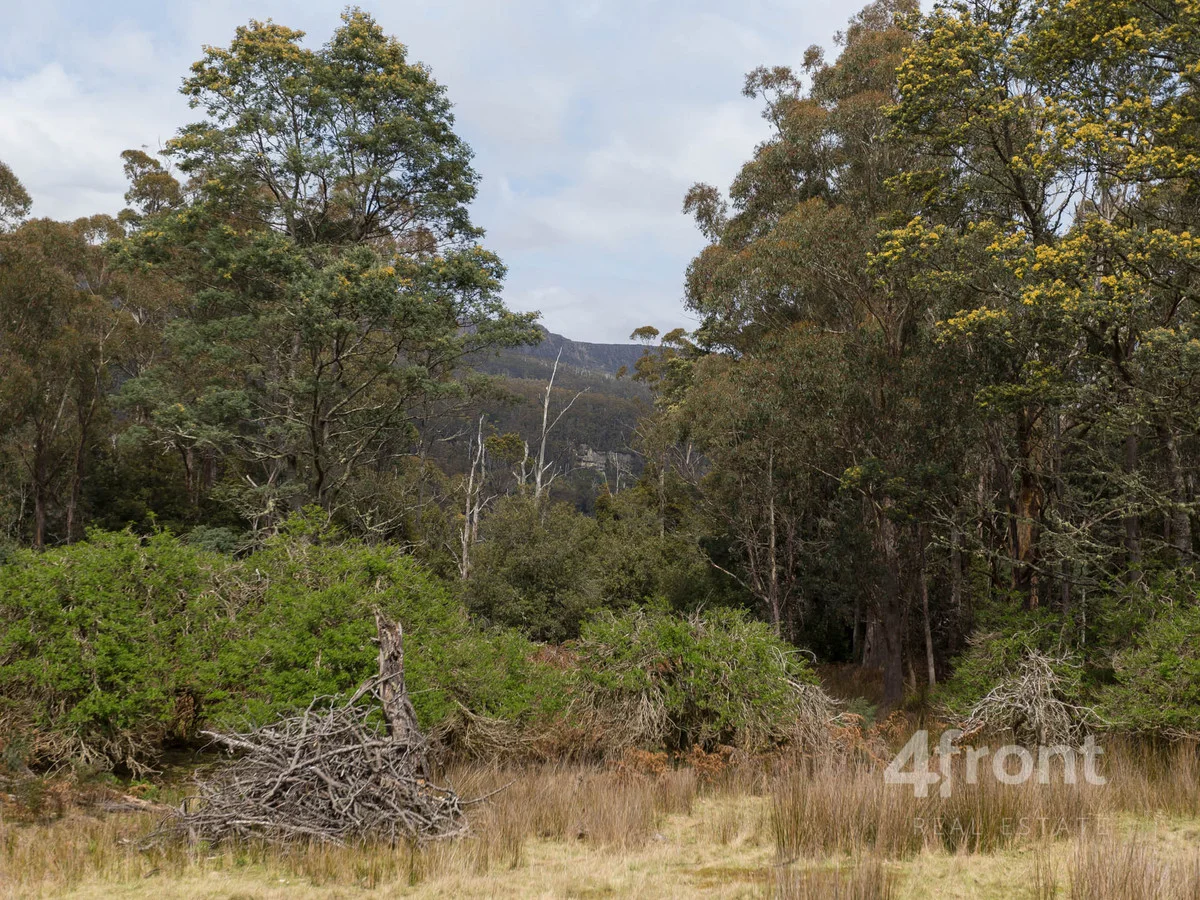 Additional image 15 of 1 and 2/141 Tiers View Road, Golden Valley TAS 7304