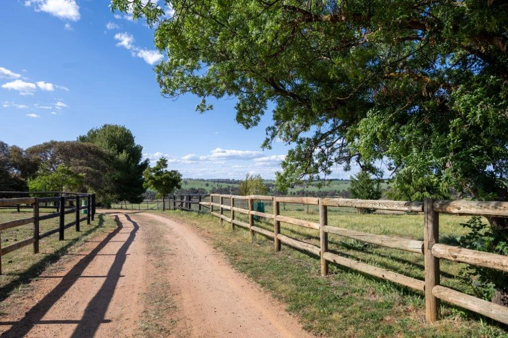 Additional image 23 of 251 Pattersons Lane, Young NSW 2594