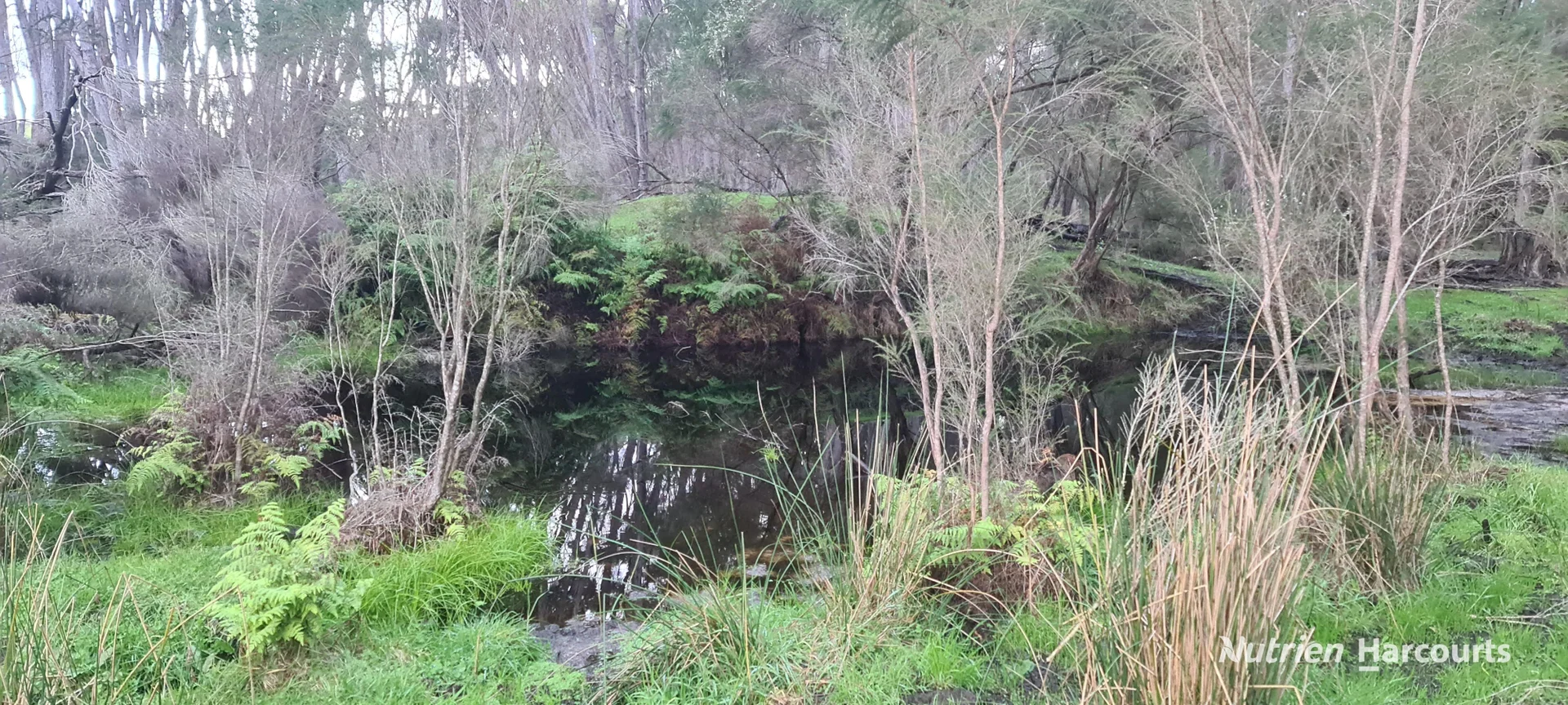 Additional image 8 of 526 Board Road, Kordabup WA 6333