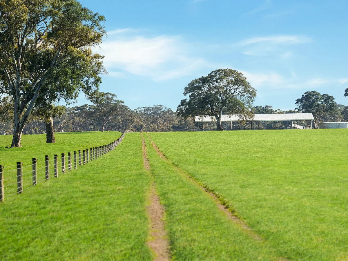 Additional image 5 of 813 Yarramyljup Road, Rocklands VIC 3401