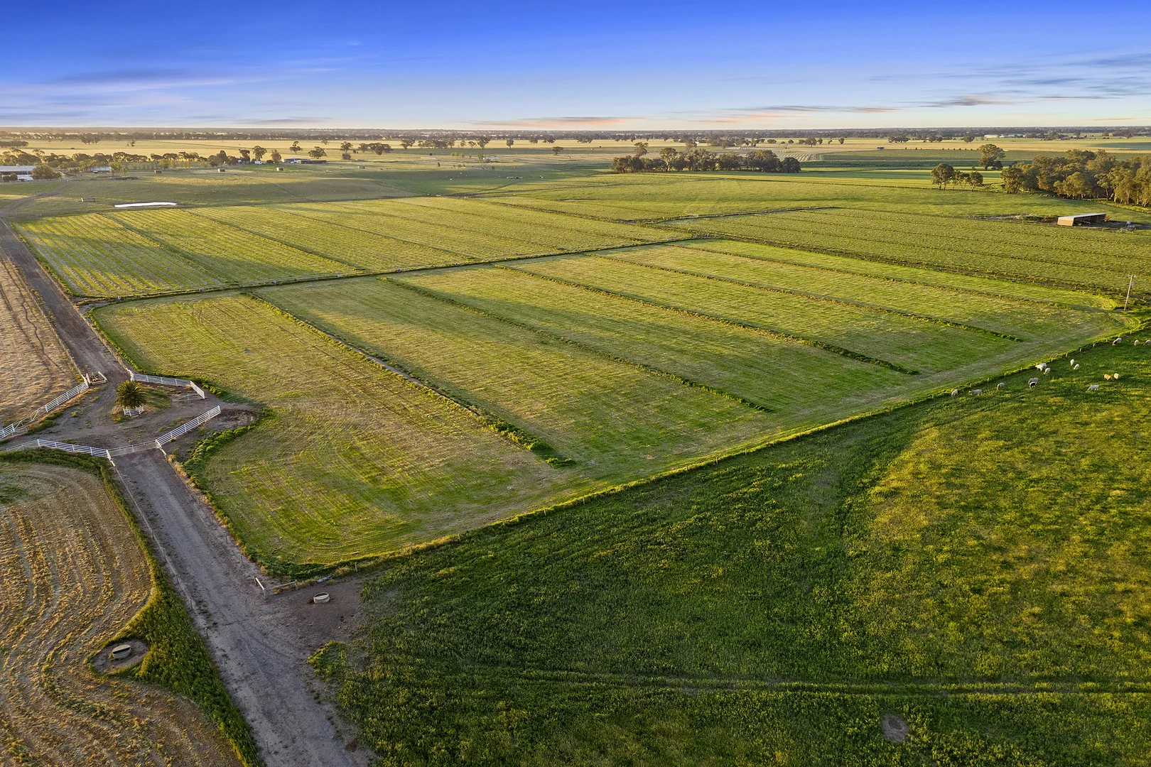 Additional image 39 of 241 Bendigo-Murchison Road,, Goornong VIC 3557