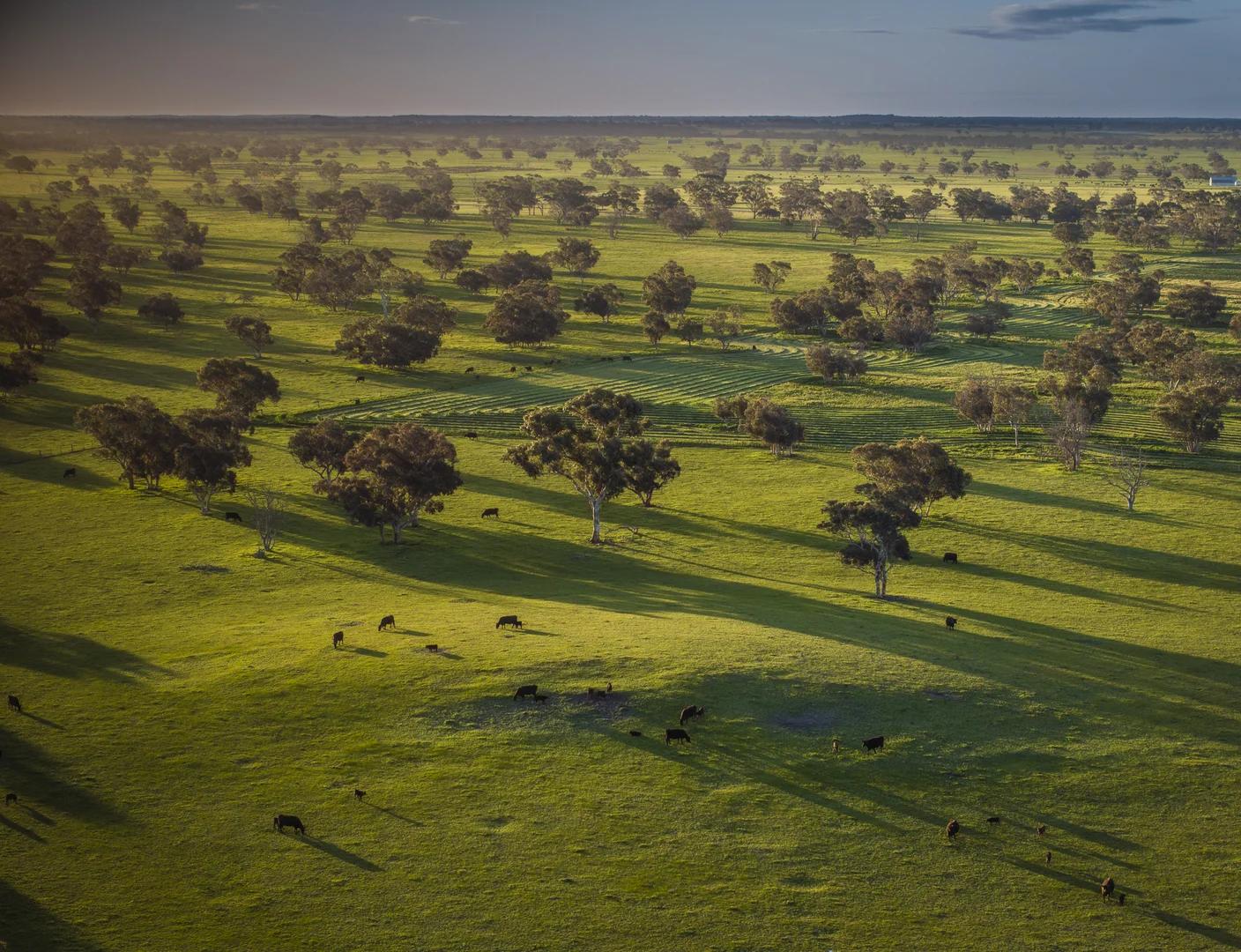 Additional image 19 of 325 Maranoa Downs Road, Stewart Range SA 5271