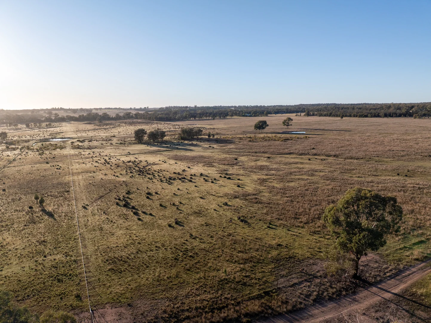Additional image 2 of Lagoon Creek Road, Minore NSW 2830