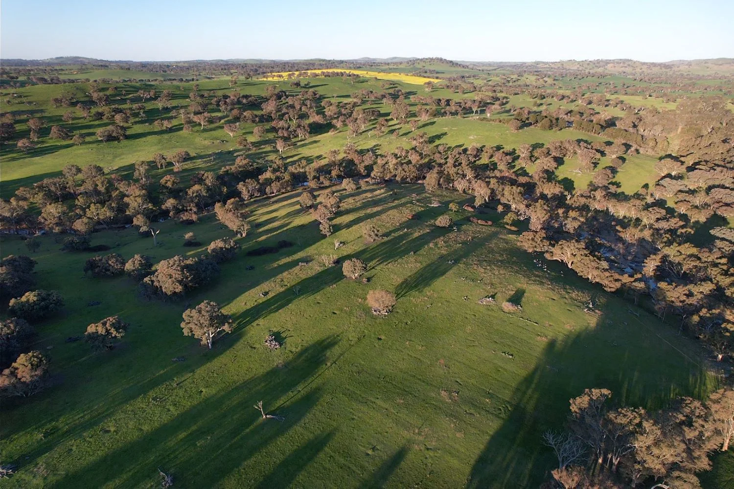 Additional image 14 of 0 Glengarry Road, Binalong NSW 2584