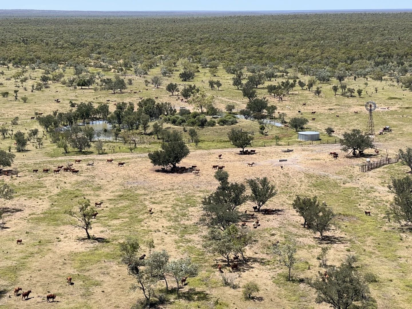 Additional image 10 of Benmara Station, Creswell NT 0852