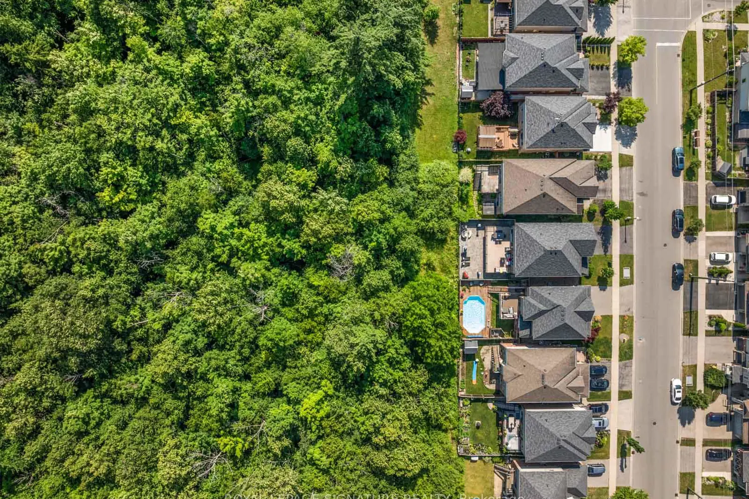 Additional image 16 of 704 Robert Ferrie Drive