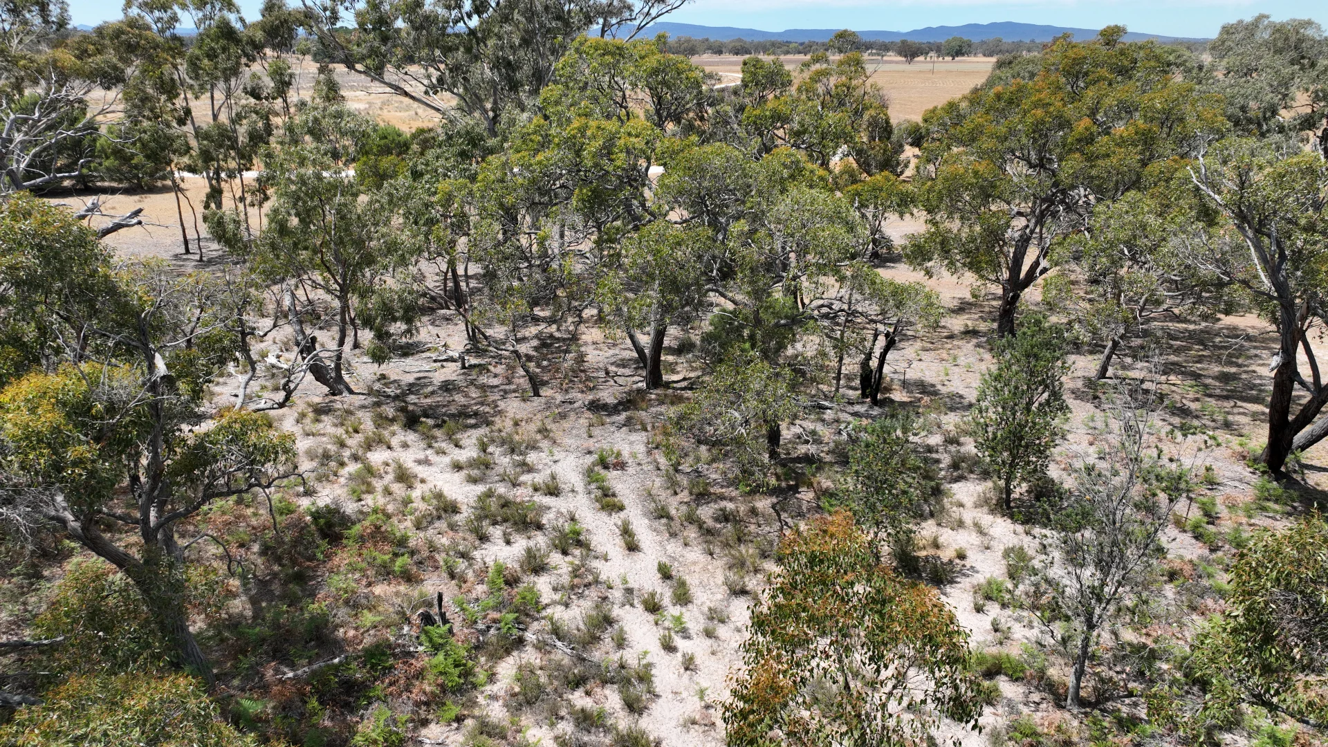 Additional image 5 of Lot 9 John McPhees Drive, Toolondo VIC 3401