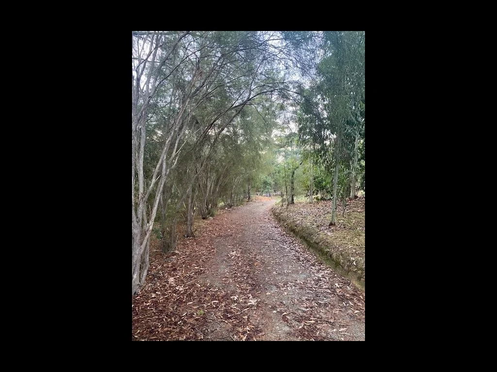 Additional image 3 of 162 Taylor Bay Right Arm Road, Eildon VIC 3713