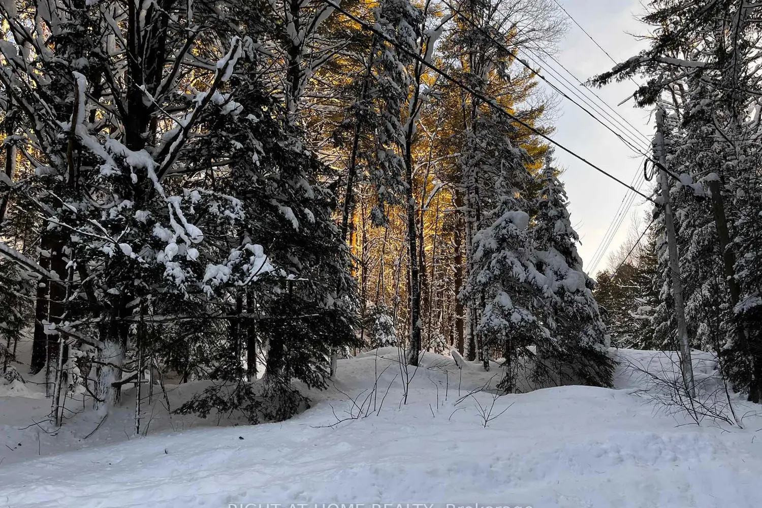 Additional image 5 of 1019 Forrester Trail