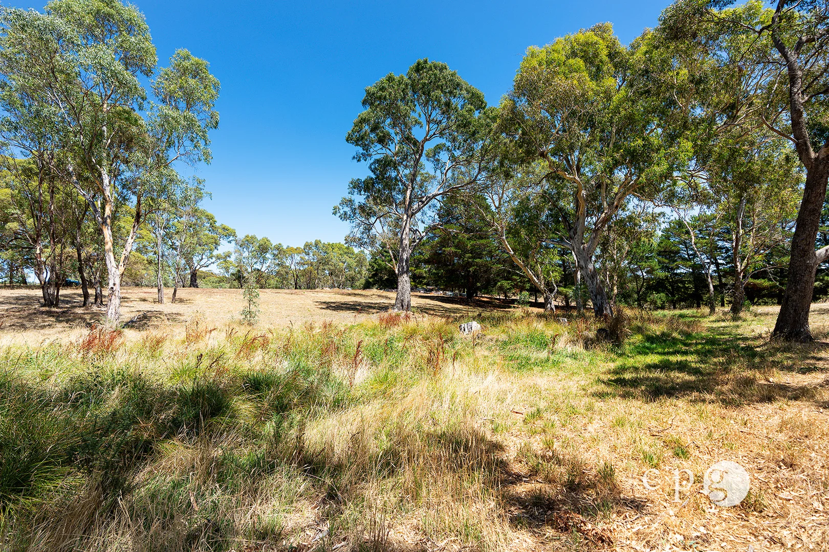 Additional image 9 of 80 Mills Road, Harcourt VIC 3453