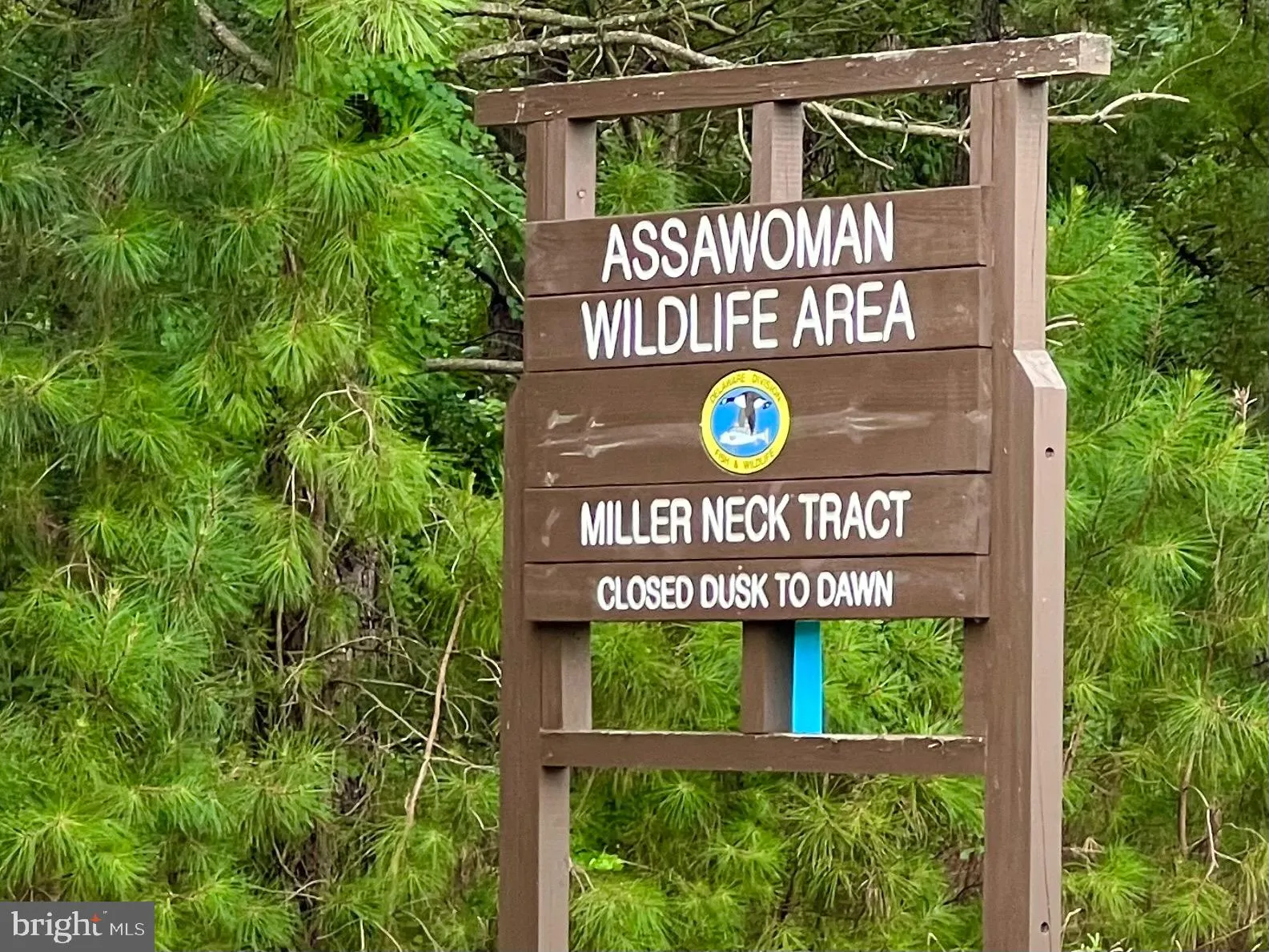 Additional image 103 of 38057 Pine Needle Lane, Frankford, DE 19945