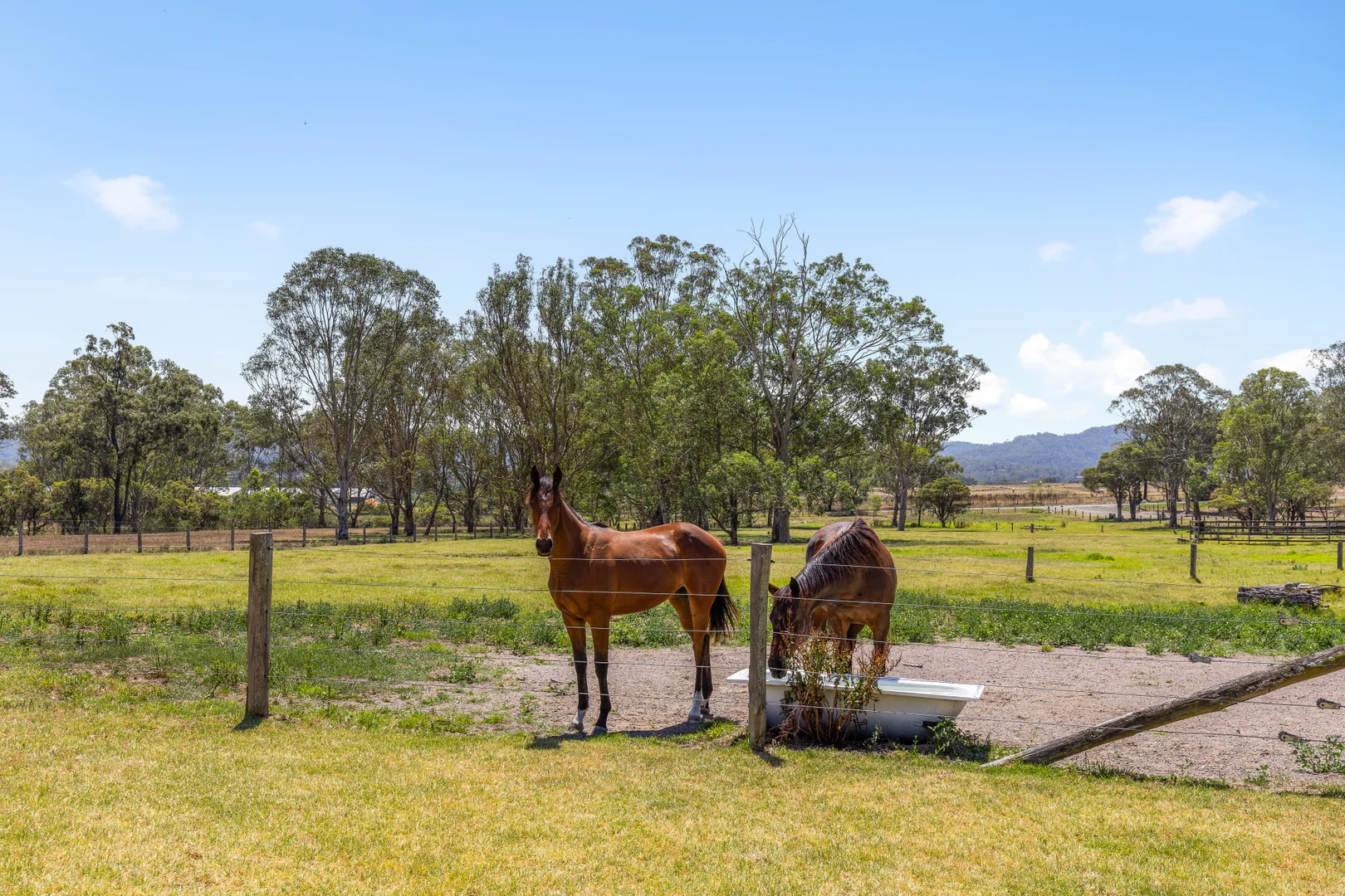 Additional image 32 of 341 Gresford Road, Paterson NSW 2421