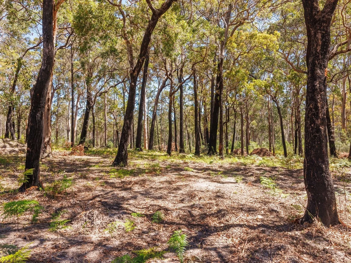 72 Wonboyn Road, WONBOYN Via, Eden NSW 2551