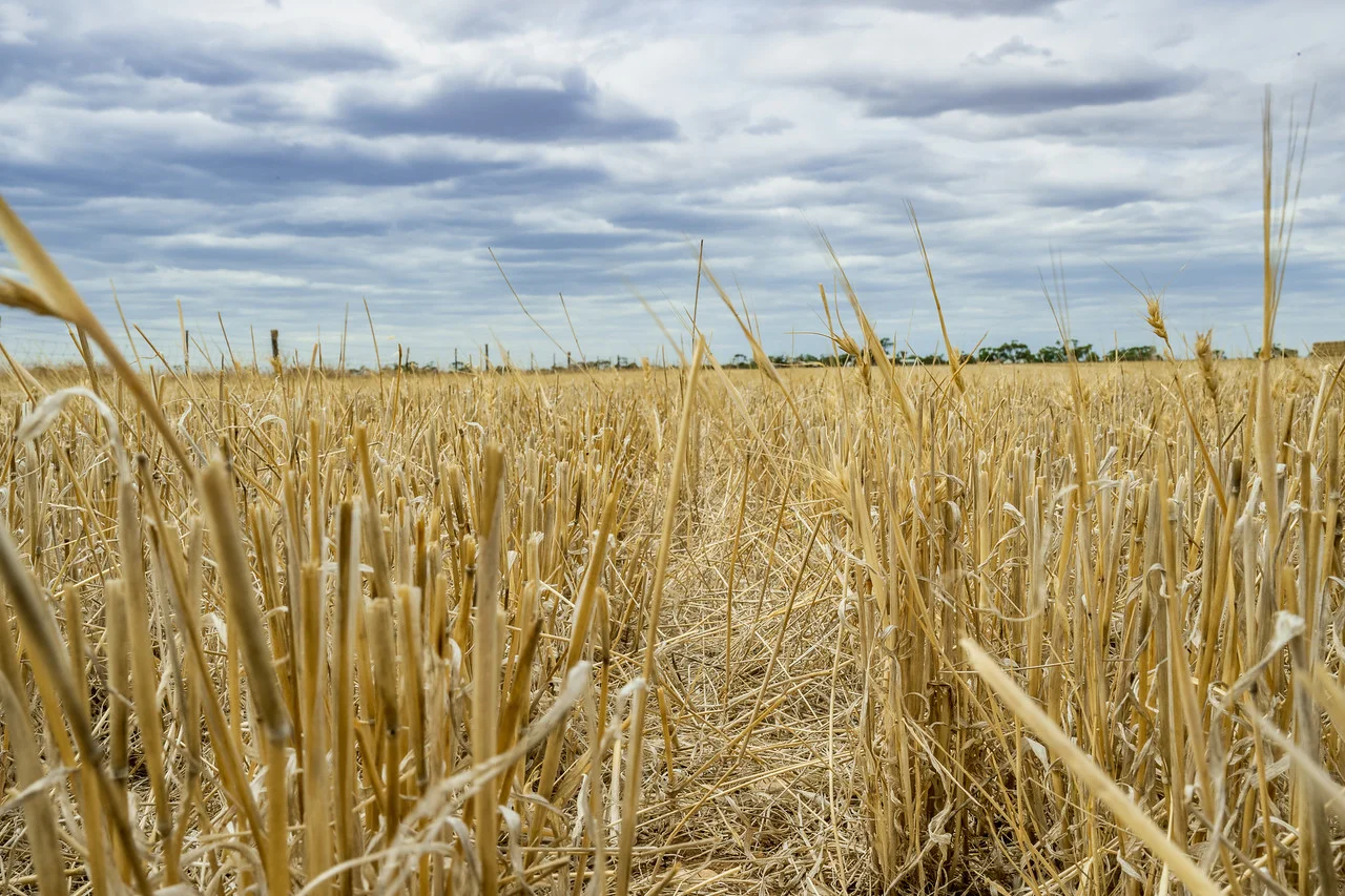 Additional image 6 of Redbanks SA 5502