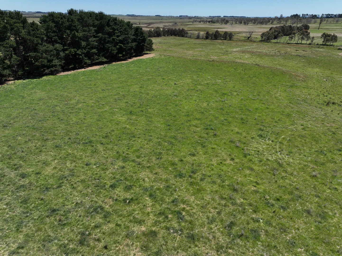 Additional image 11 of Lot 1 Mount Rae Road, Roslyn, Crookwell NSW 2583