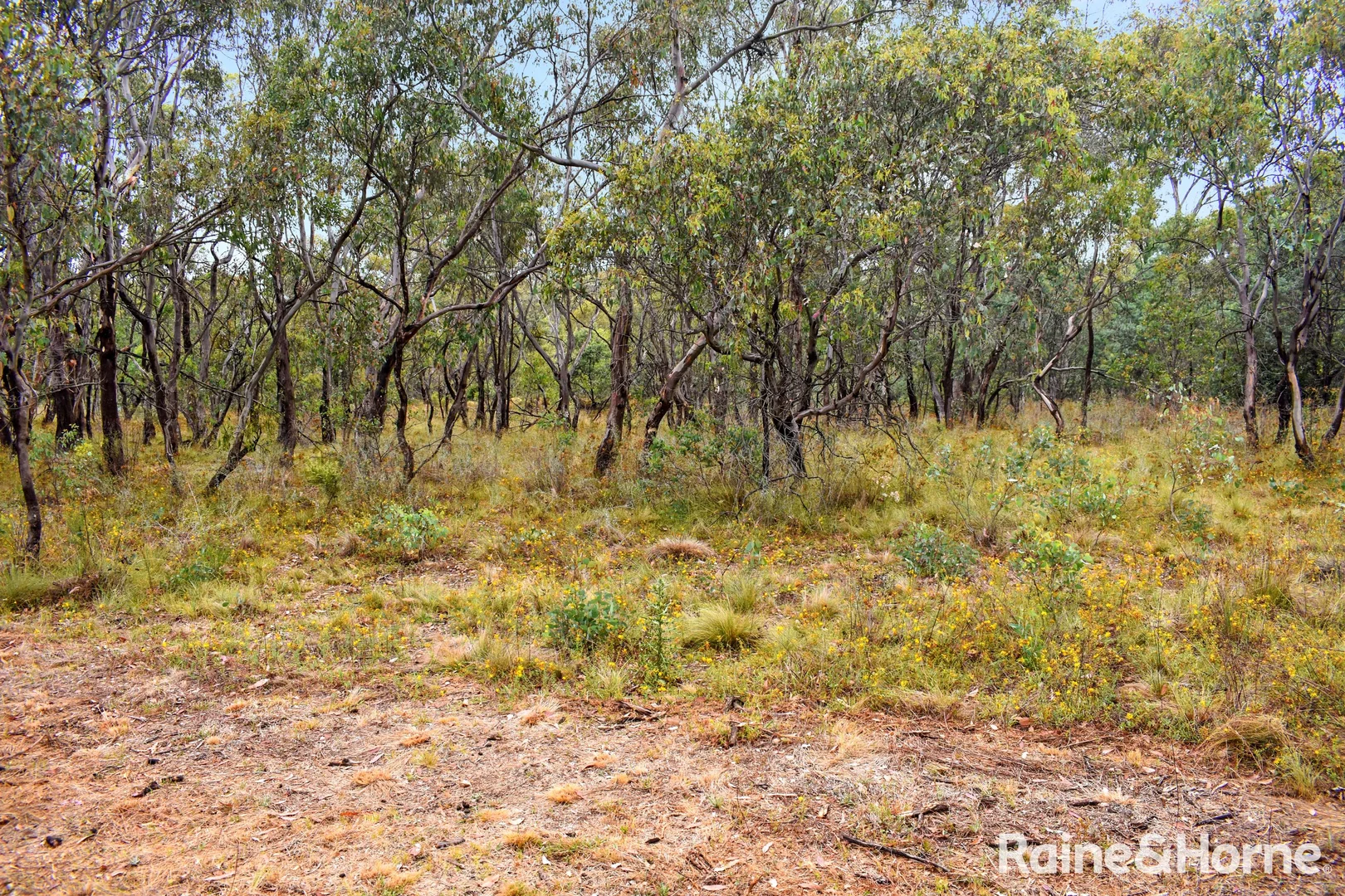 Additional image 15 of Lot 171 & 296 Sofala Road, Wattle Flat NSW 2795