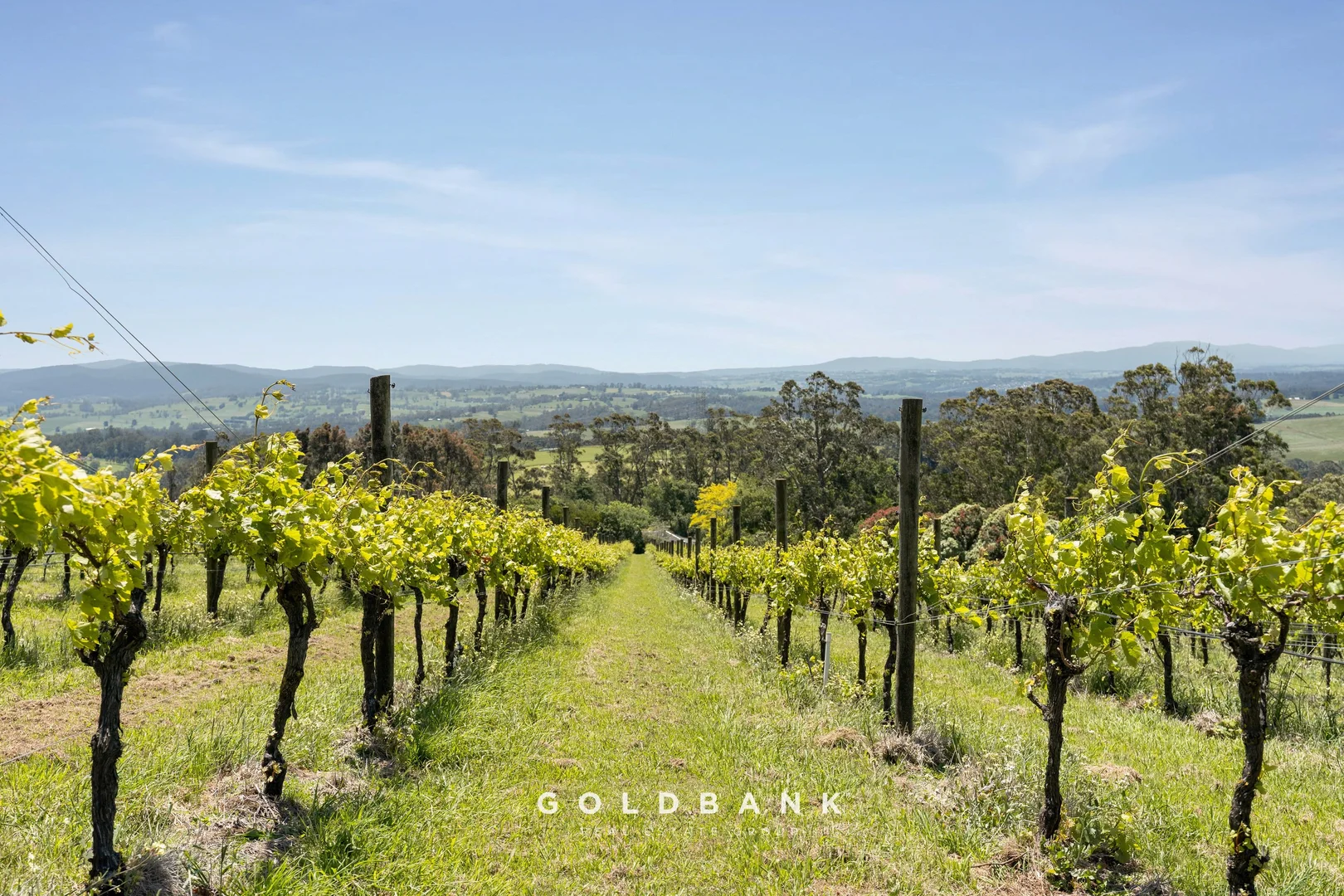 Additional image 8 of 180 Lardners Track, Drouin East VIC 3818