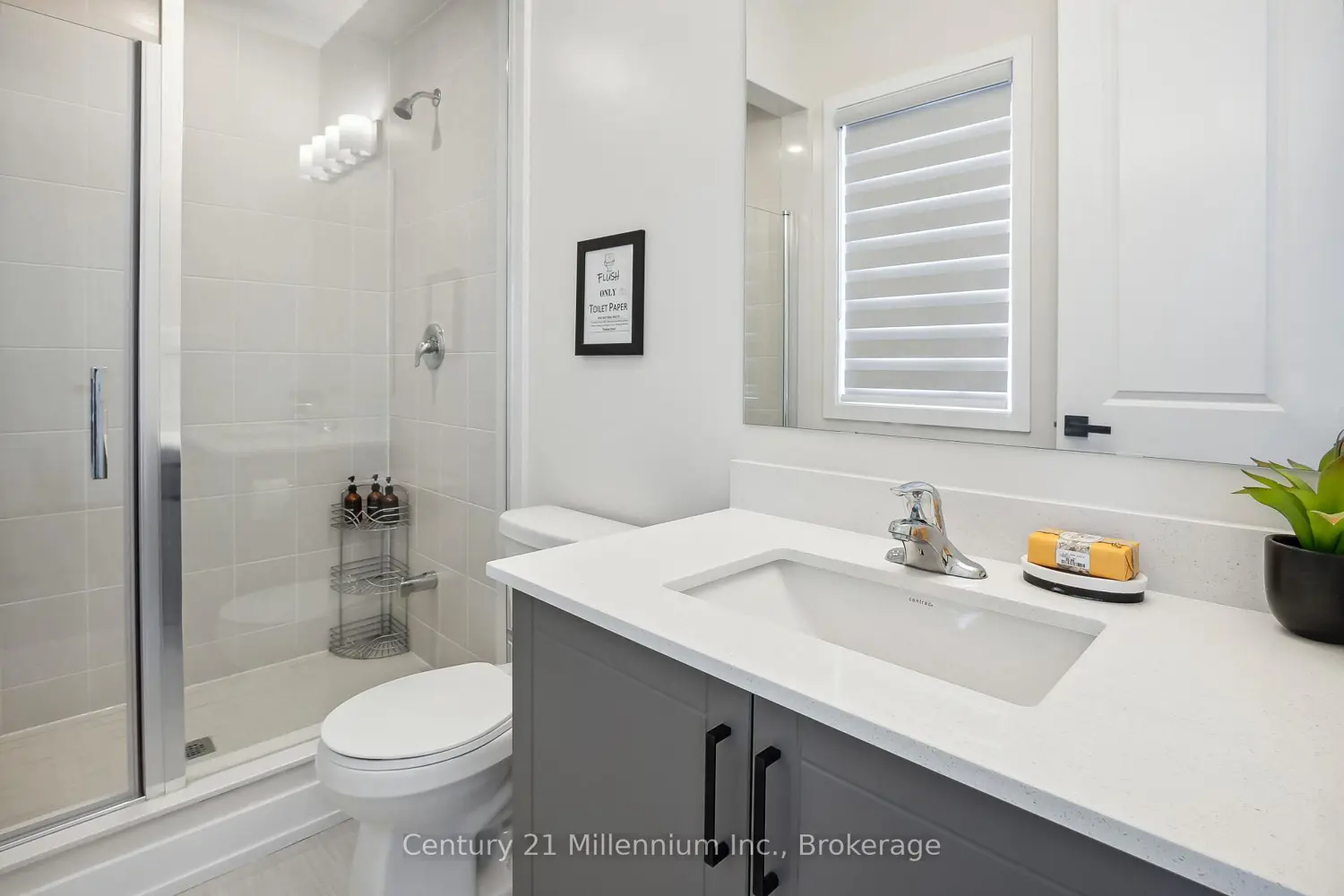 Additional image 12 of 125 Stoneleigh Drive