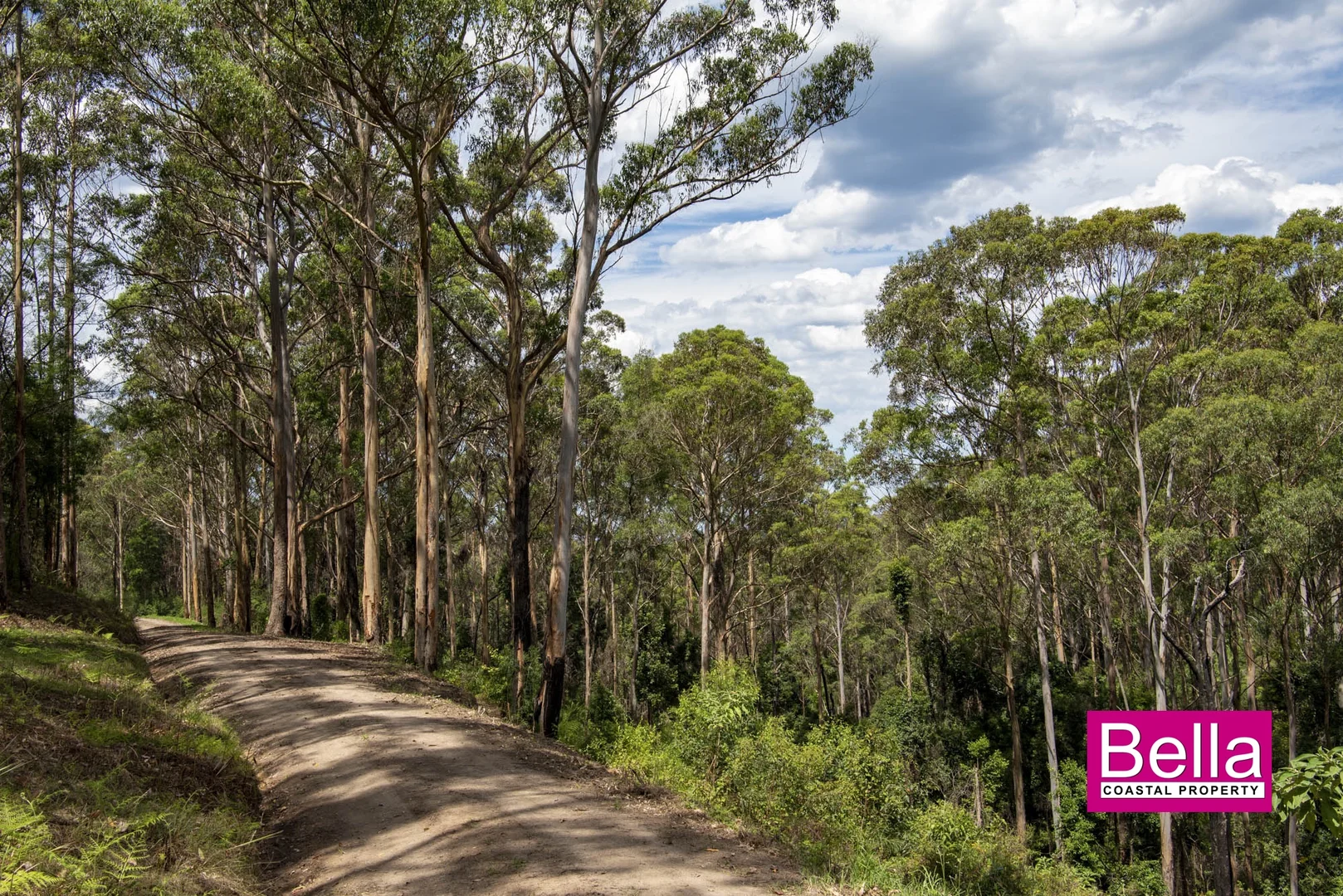 Additional image 15 of 41 Old Coach Road, Termeil NSW 2539
