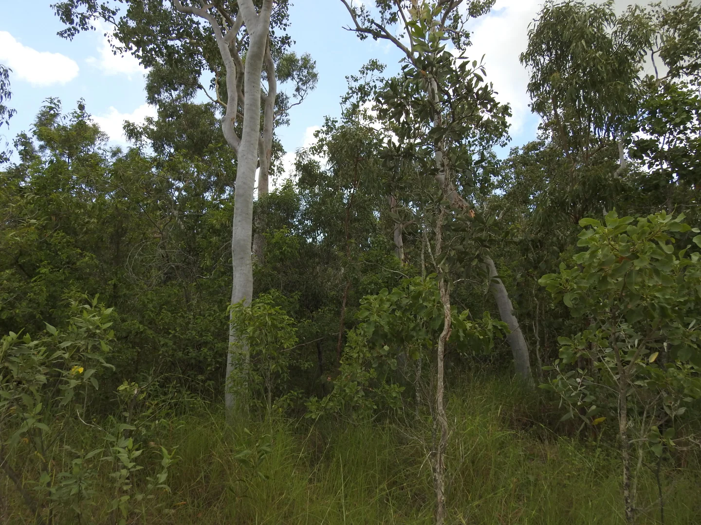Additional image 10 of LOT 36 Whitsunday Dr, Bloomsbury QLD 4799