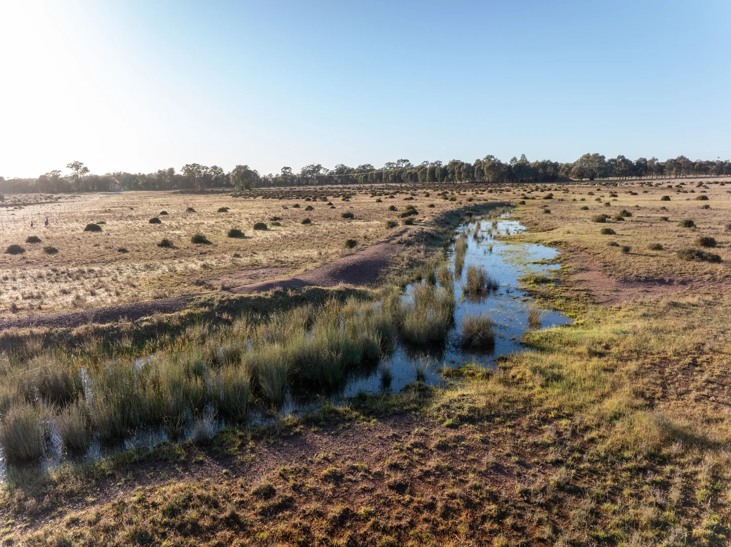 Additional image 11 of Lagoon Creek Road, Minore NSW 2830