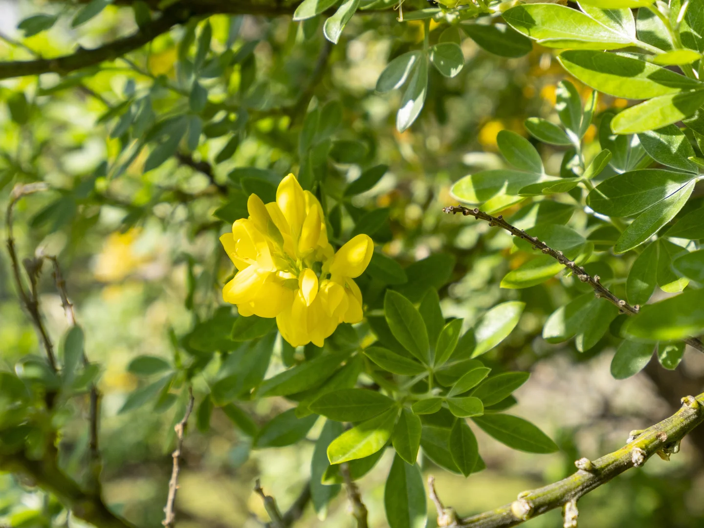 Additional image 27 of 4 Caribbean Court, Eaglehawk Neck TAS 7179