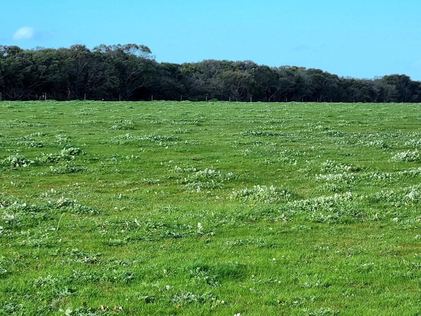 Additional image 12 of 958 Crabbs Road, Newland SA 5223